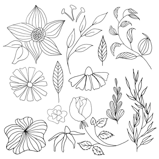 Ręcznie rysowane vintage kwiaty i liście. Botaniczny wektor zestaw kwiatowy. Kolorowanka - Wektor, obraz