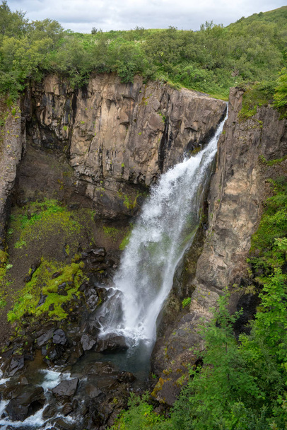  Svartifoss vodopády nebo Balck vodopád, národní Park na Islandu Vatnajokull - Fotografie, Obrázek