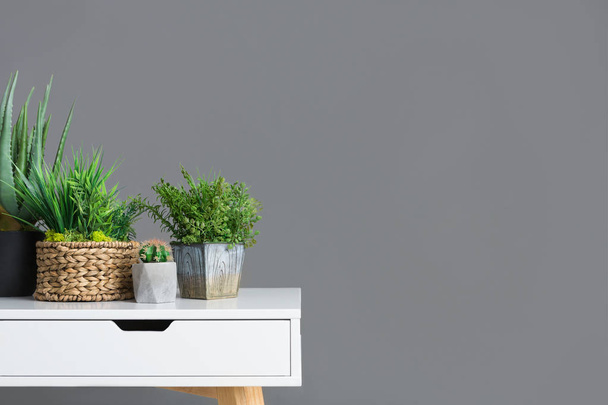 Κομψό τραπέζι με διαφορετικά φυτά εσωτερικού χώρου σε γκρίζο τοίχο - Φωτογραφία, εικόνα