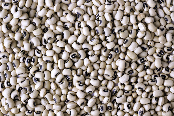 White haricot beans background - Foto, Imagem