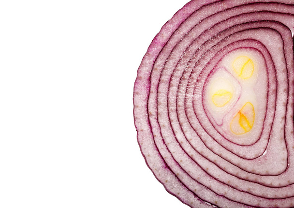 Close up of a sliced onion isolated on white - Фото, изображение