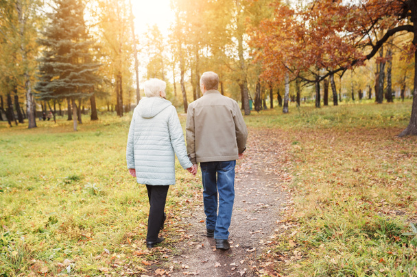 seniorenpaar wandelen in herfstpark - Foto, afbeelding