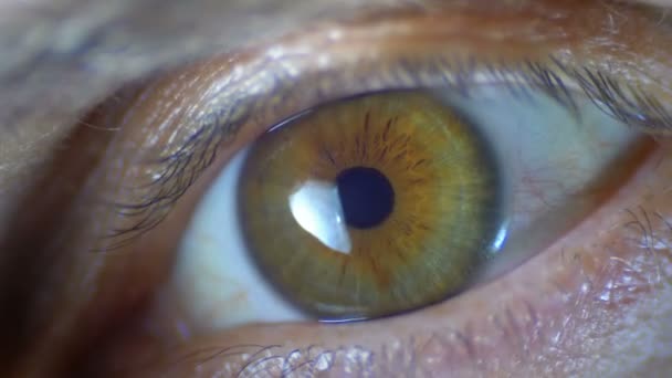 Makro lähikuva mies ihmisen silmä vilkkuu. Hidastus
 - Materiaali, video