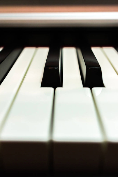 Some of white and black piano keys close up.  - Photo, image