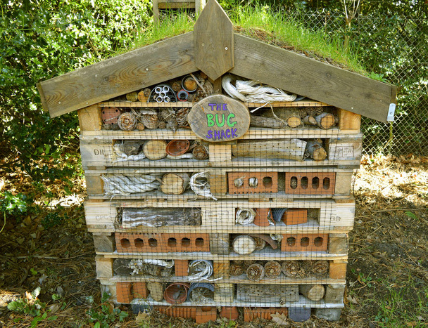 Bug shack een door de mens veroorzaakte structuur opgericht om onderdak voor insecten - Foto, afbeelding