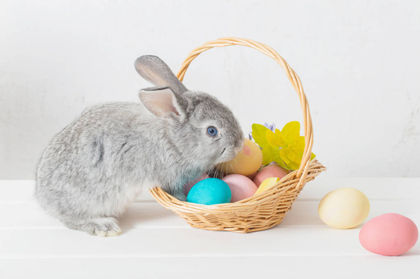 conejito con huevos de Pascua sobre fondo blanco
 - Foto, Imagen