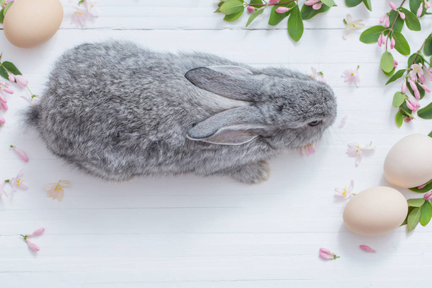 rabbit with flowers on white wooden background - Photo, Image