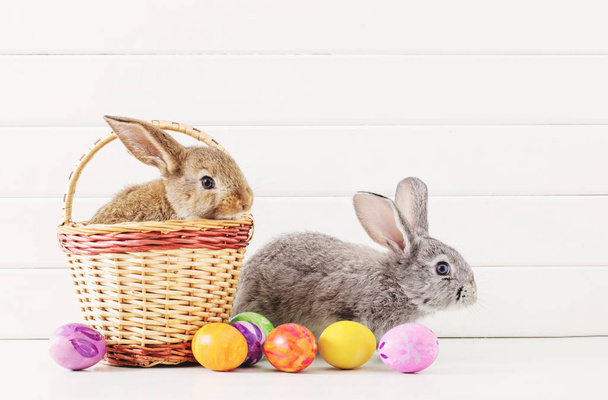 Easter bunny with eggs on white background - Zdjęcie, obraz