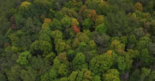 Aerial Drone Footage View Mountains, trees - Filmmaterial, Video