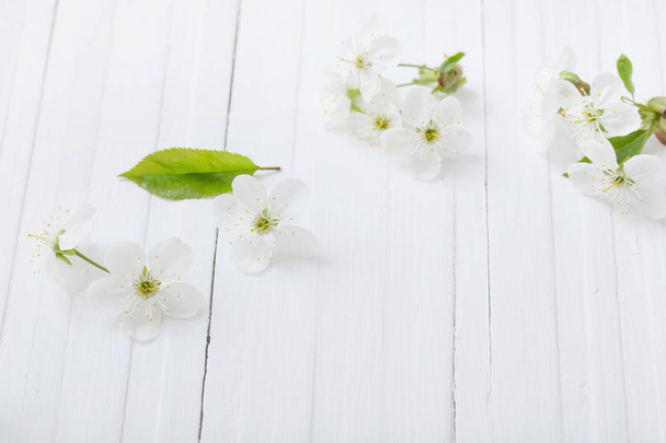 Весняні квіти на білому дерев'яному фоні
 - Фото, зображення