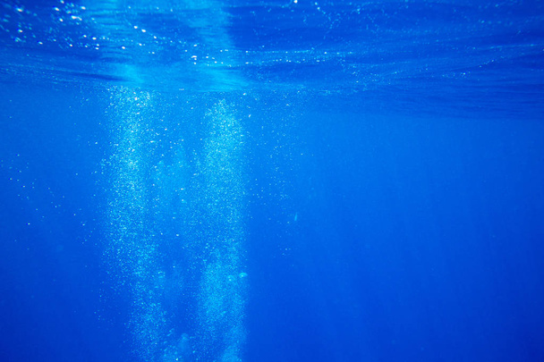 Rustige onderwater scene met kopieerruimte - Foto, afbeelding