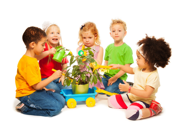 Kids and plant - Photo, image