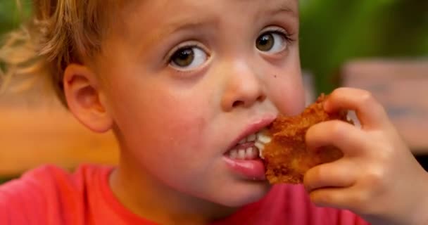 kleine jongen eten gebakken kip - Video