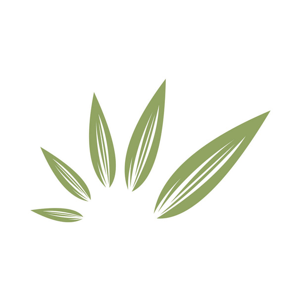 Sunbeam of Abstract Organic Green Leaf Nature Symbol - Vector, Image
