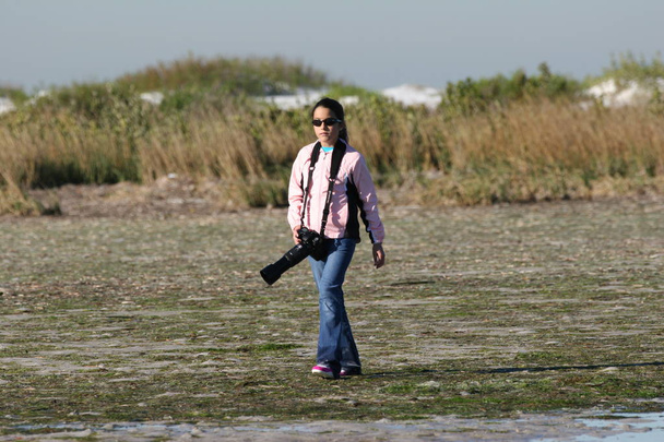 Jong meisje fotograferen shorebirds. - Foto, afbeelding