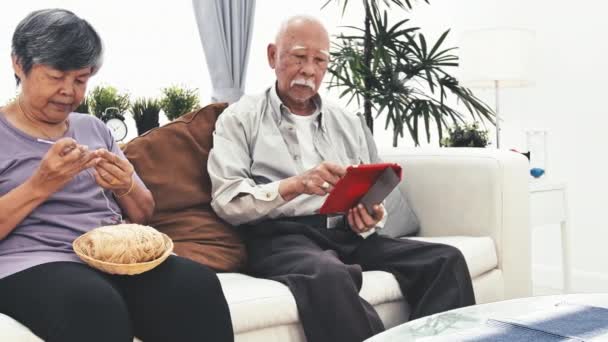 Asian senior man using tablet computer and Senior Woman Knitting with Wool, Grandmothers Hands Knit Wool Yarn. Craft is Hobby of Old Women and having knee pain. - Footage, Video