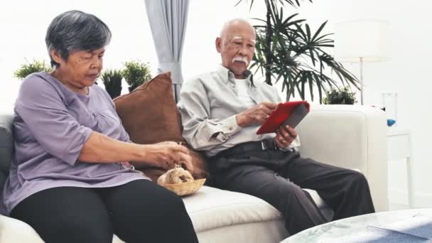 Azjatycka starszy człowiek przy użyciu komputera typu tablet i starszy kobieta dziania z wełny, przędzy wełnianej dzianiny ręce babć. Jednostka jest Hobby stare kobiety i po bólu kolana. - Materiał filmowy, wideo
