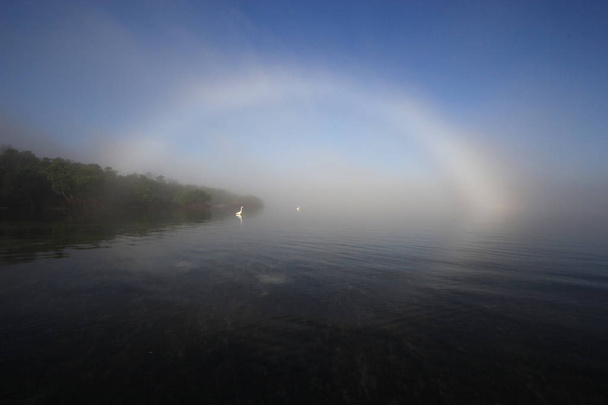 Medve vágott, Key Biscayne Floridában fényes fogbow. - Fotó, kép