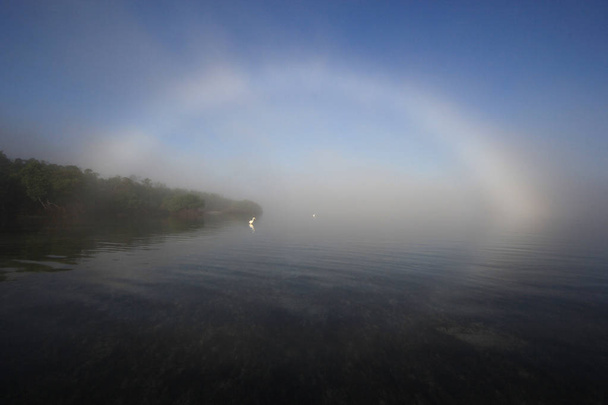 Medve vágott, Key Biscayne Floridában fényes fogbow. - Fotó, kép