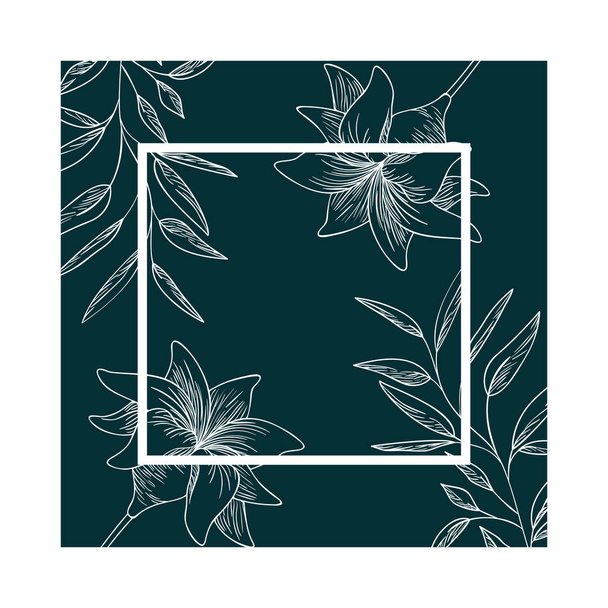 frame with plants and herbs isolated icon vector illustration desing - Vector, Image