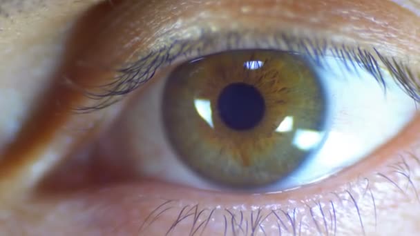 Male Human Eye Blinks. Close-up. - Footage, Video