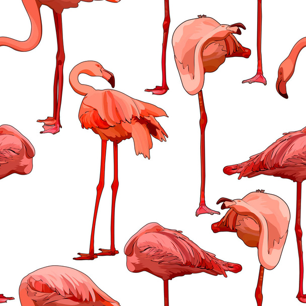 Seamless background with flamingos. Vector illustration, EPS 10 - Вектор,изображение
