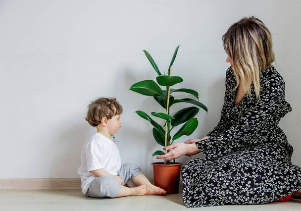 Молода мама навчає маленького хлопчика доглядати за рослиною
 - Фото, зображення