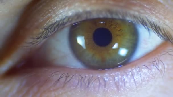 Makro lähikuva mies ihmisen silmä vilkkuu. Hidastus
 - Materiaali, video