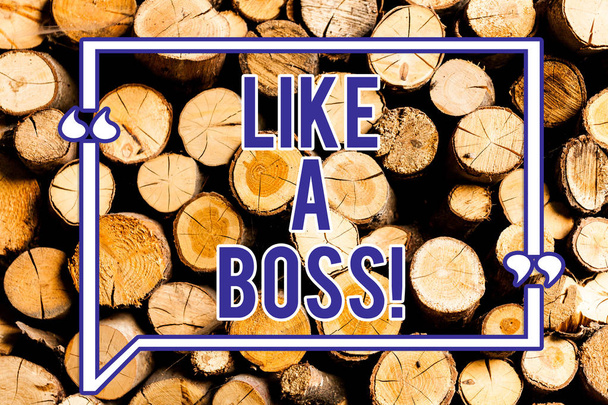 Text sign showing Like A Boss. Conceptual photo Acting as if you are the one giving orders in job or situation Wooden background vintage wood wild message ideas intentions thoughts. - Photo, Image