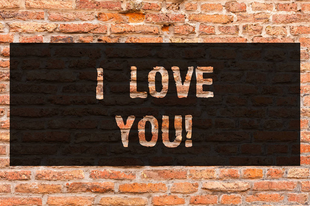 Kirjoitan viestiä, joka osoittaa, että rakastan sinua. Business valokuva esittelee Ilmaisevat roanalyytikko tunteita jollekulle positiivinen tunne Brick Wall taidetta kuten Graffiti motivoiva puhelu kirjoitettu seinään
. - Valokuva, kuva