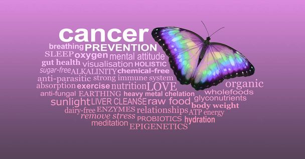 Métodos preventivos para cuidar de pessoas com câncer - uma bela borboleta - metáfora para a transformação - colocados ao lado de uma nuvem de etiquetas de palavras de prevenção do câncer contra um fundo graduado cinza a rosa
 - Foto, Imagem