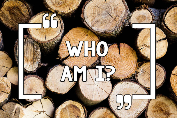 Conceptual hand writing showing Who Am I. Business photo text Introduce Identify yourself demonstratingality likes dislikes profile Wooden background vintage wood wild message ideas thoughts. - Photo, Image