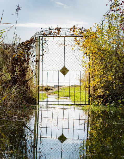 Ворота до бальзаму на острові Узедом, Східна Німеччина. / / Tor zum Ostsee auf der Insel Usedom, Ostdeutschland. - Фото, зображення