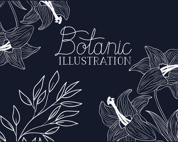 botanic illustration label with plants - Vector, Image