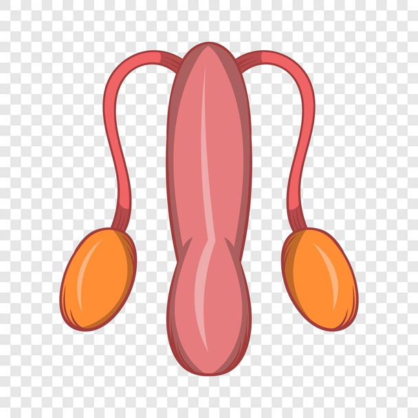 Male sexual organ icon, cartoon style - Vector, Image