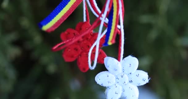 Martisor は赤と白の文字列とタリスマンの愛 3 月 1 日の人々 によって提供されます。モルドバとルーマニアの春 Martisor のシンボルです。春の始まりを祝う伝統的な休業のアクセサリー。4 k ビデオ. - 映像、動画