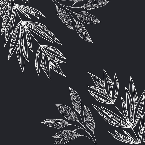 pattern plants and herbs isolated icon - Vektor, kép