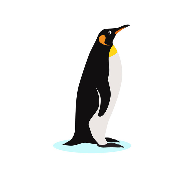 Király penguin ikonra, elszigetelt fehér background - Vektor, kép