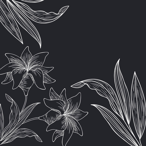 patrón plantas y hierbas aisladas icono vector ilustración diseño
 - Vector, Imagen