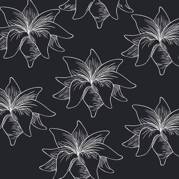 μοτίβο φυτά και βότανα απομονωμένες εικονίδιο - Διάνυσμα, εικόνα