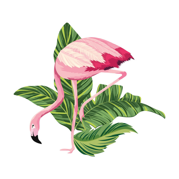 tropical flamingo cartoon - Vector, Image