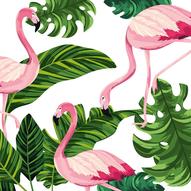 tropical flamingos cartoon - Vector, Image