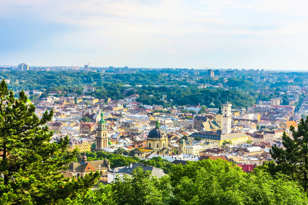 Lviv Cityscape uitzichtpunt met oude stad weergave bos en Hill - Foto, afbeelding
