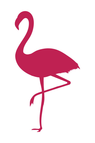desenhos animados de flamingo tropical
 - Vetor, Imagem