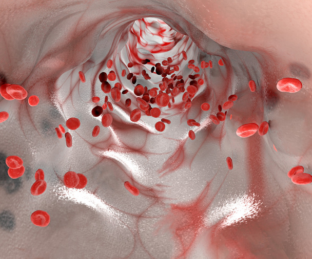 Красные кровяные тельца в кровеносном сосуде
 - Фото, изображение