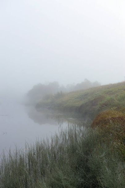 秋の早朝。濃い霧が川の表面を包み込む. - 写真・画像
