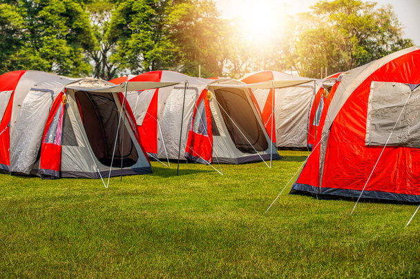 Camping i namiot pod lasem w zachód słońca  - Zdjęcie, obraz
