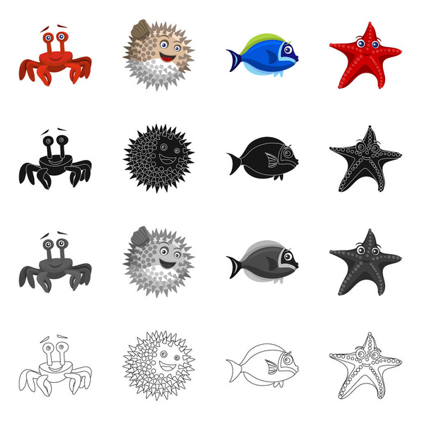 Objeto isolado do logotipo do mar e do animal. Coleção de mar e símbolo de estoque marinho de web
. - Vetor, Imagem