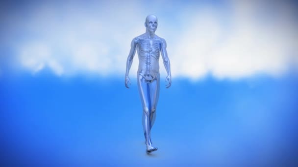 Digitally animated human skeletal system walking in a circle against blue background with clouds - Video