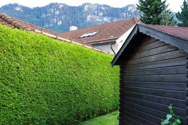 Wooden brown house on a background of hedge thuja and mountains. - Photo, Image